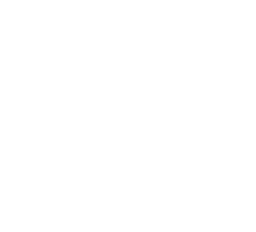 Established Brand icon